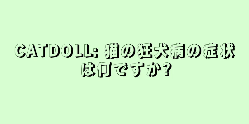 CATDOLL: 猫の狂犬病の症状は何ですか?