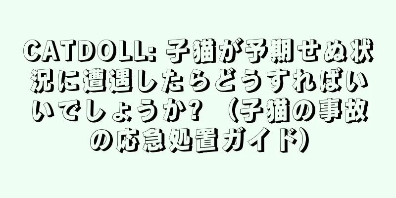 CATDOLL: 子猫が予期せぬ状況に遭遇したらどうすればいいでしょうか? （子猫の事故の応急処置ガイド）