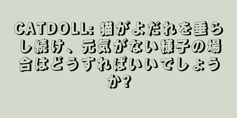CATDOLL: 猫がよだれを垂らし続け、元気がない様子の場合はどうすればいいでしょうか?