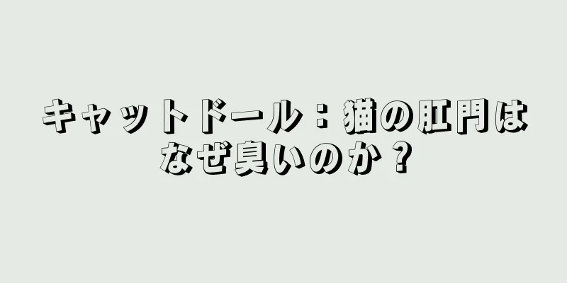 キャットドール：猫の肛門はなぜ臭いのか？