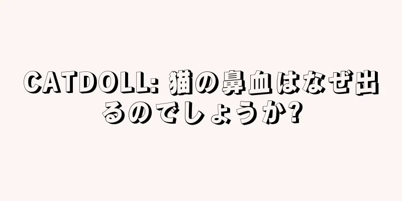 CATDOLL: 猫の鼻血はなぜ出るのでしょうか?
