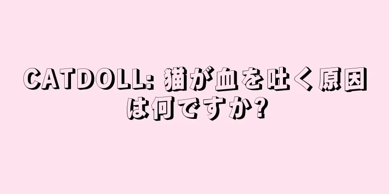 CATDOLL: 猫が血を吐く原因は何ですか?