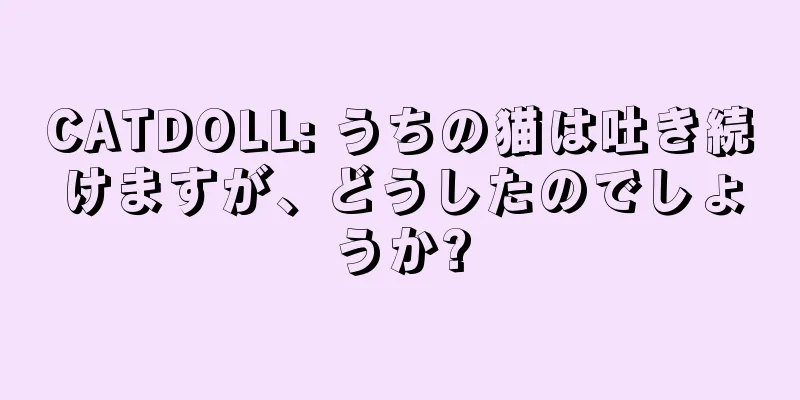 CATDOLL: うちの猫は吐き続けますが、どうしたのでしょうか?