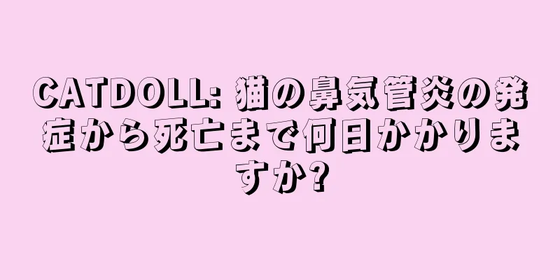 CATDOLL: 猫の鼻気管炎の発症から死亡まで何日かかりますか?