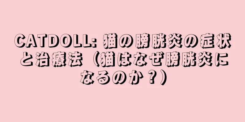 CATDOLL: 猫の膀胱炎の症状と治療法（猫はなぜ膀胱炎になるのか？）