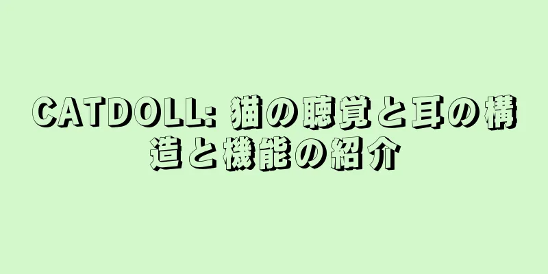 CATDOLL: 猫の聴覚と耳の構造と機能の紹介