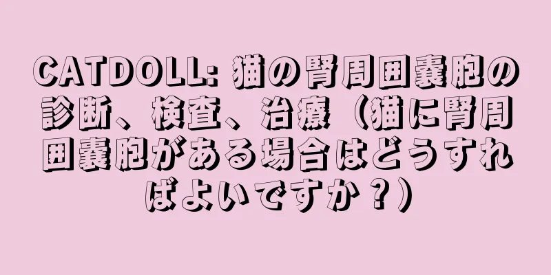 CATDOLL: 猫の腎周囲嚢胞の診断、検査、治療（猫に腎周囲嚢胞がある場合はどうすればよいですか？）
