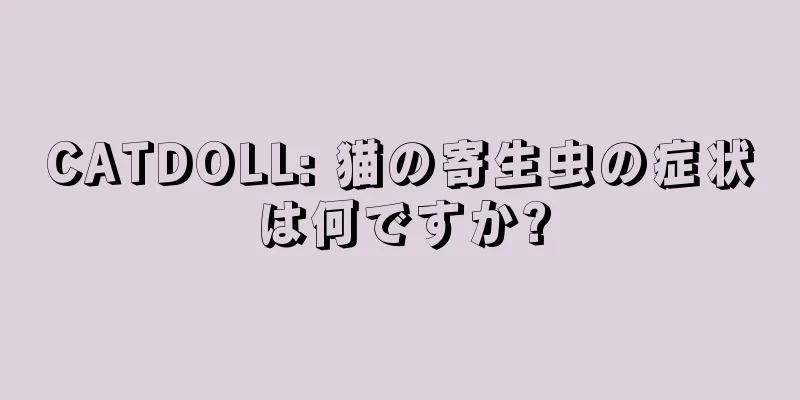 CATDOLL: 猫の寄生虫の症状は何ですか?