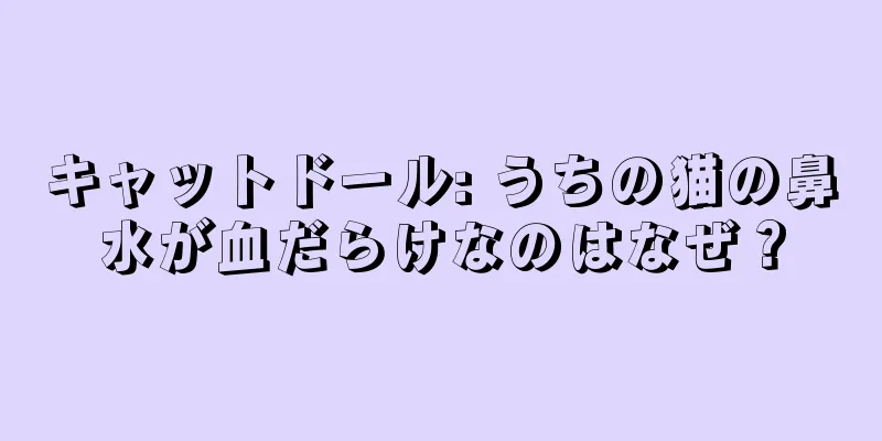 キャットドール: うちの猫の鼻水が血だらけなのはなぜ？