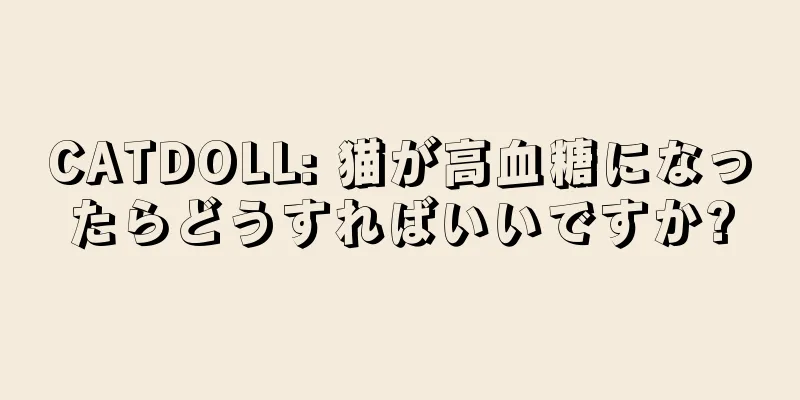 CATDOLL: 猫が高血糖になったらどうすればいいですか?