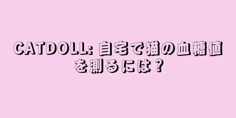 CATDOLL: 自宅で猫の血糖値を測るには？