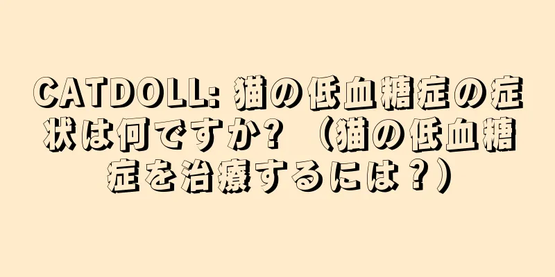 CATDOLL: 猫の低血糖症の症状は何ですか? （猫の低血糖症を治療するには？）