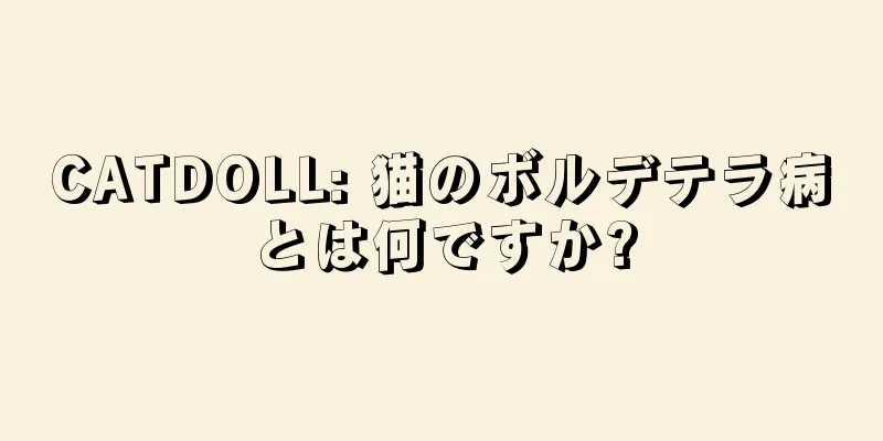 CATDOLL: 猫のボルデテラ病とは何ですか?
