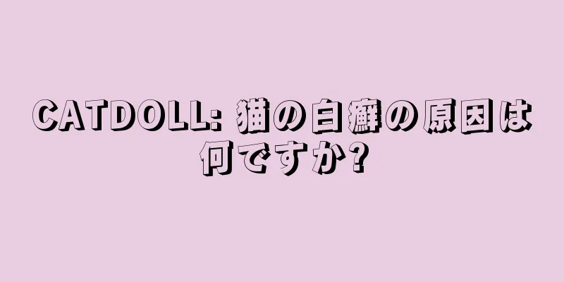 CATDOLL: 猫の白癬の原因は何ですか?
