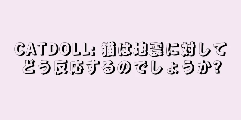 CATDOLL: 猫は地震に対してどう反応するのでしょうか?