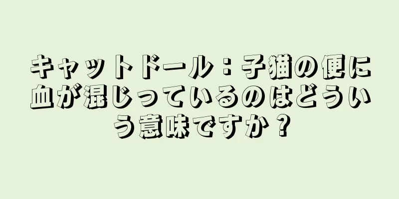 キャットドール：子猫の便に血が混じっているのはどういう意味ですか？