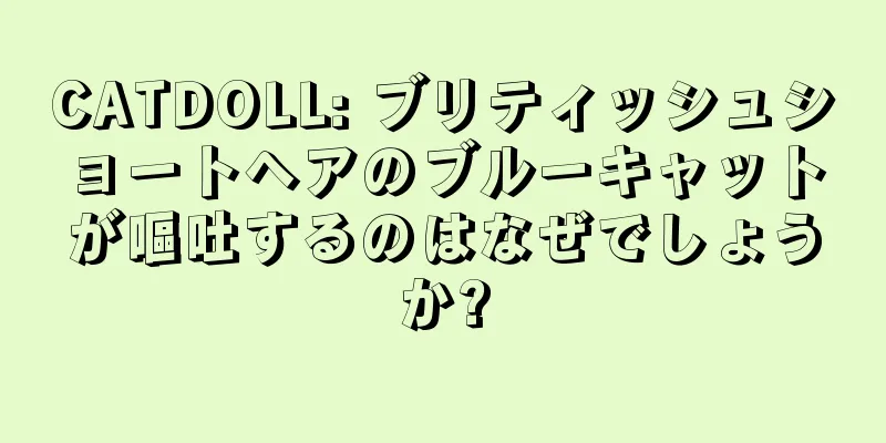 CATDOLL: ブリティッシュショートヘアのブルーキャットが嘔吐するのはなぜでしょうか?