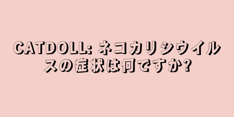CATDOLL: ネコカリシウイルスの症状は何ですか?