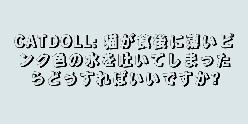 CATDOLL: 猫が食後に薄いピンク色の水を吐いてしまったらどうすればいいですか?