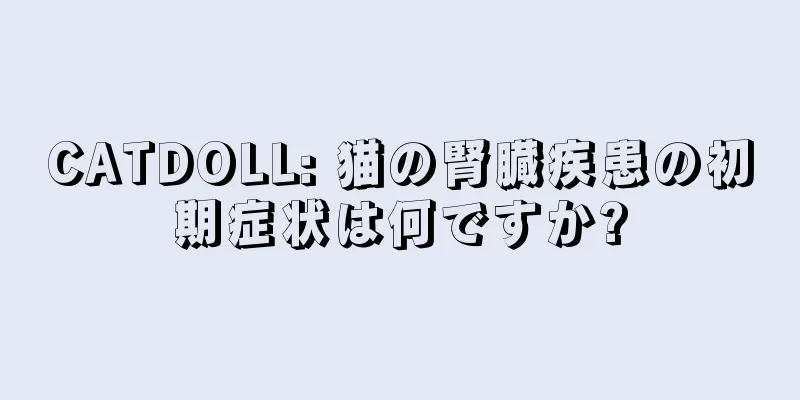 CATDOLL: 猫の腎臓疾患の初期症状は何ですか?