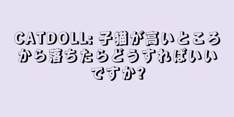 CATDOLL: 子猫が高いところから落ちたらどうすればいいですか?
