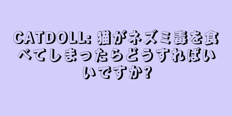 CATDOLL: 猫がネズミ毒を食べてしまったらどうすればいいですか?