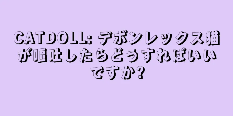 CATDOLL: デボンレックス猫が嘔吐したらどうすればいいですか?