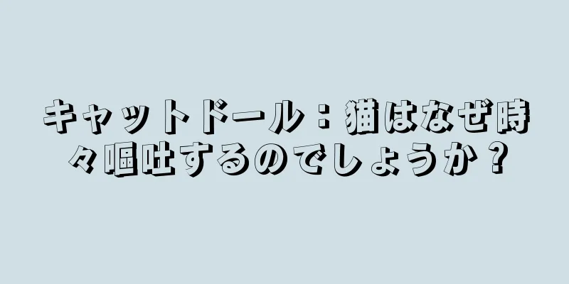 キャットドール：猫はなぜ時々嘔吐するのでしょうか？