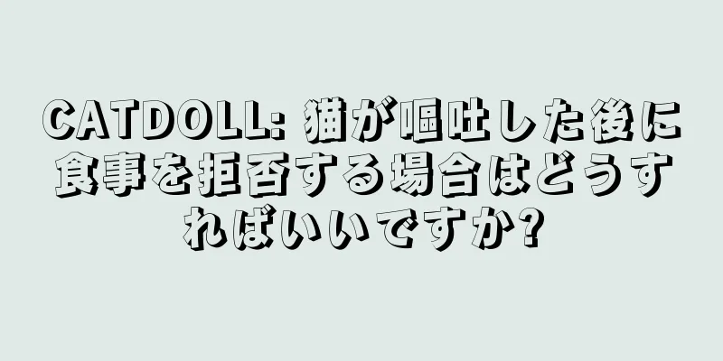 CATDOLL: 猫が嘔吐した後に食事を拒否する場合はどうすればいいですか?