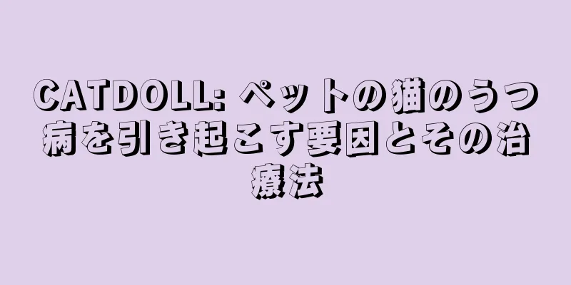 CATDOLL: ペットの猫のうつ病を引き起こす要因とその治療法