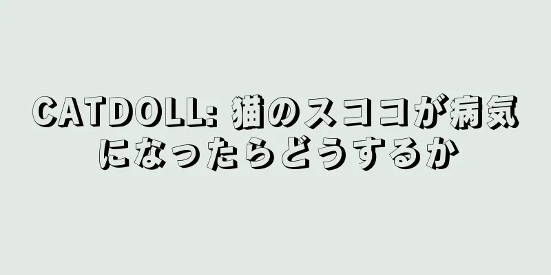 CATDOLL: 猫のスココが病気になったらどうするか