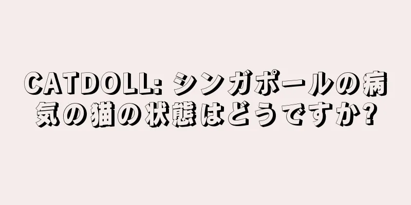 CATDOLL: シンガポールの病気の猫の状態はどうですか?