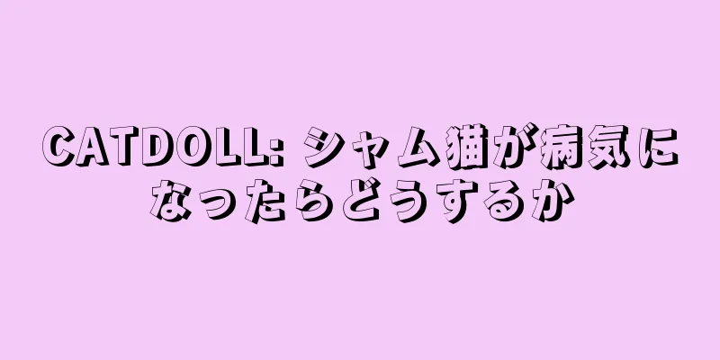 CATDOLL: シャム猫が病気になったらどうするか