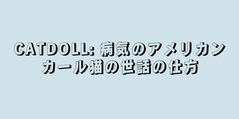 CATDOLL: 病気のアメリカンカール猫の世話の仕方