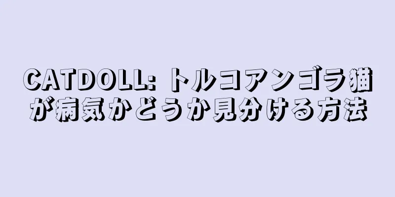 CATDOLL: トルコアンゴラ猫が病気かどうか見分ける方法