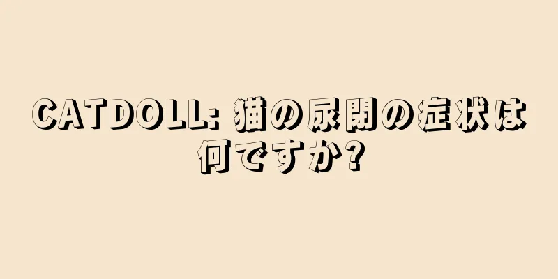 CATDOLL: 猫の尿閉の症状は何ですか?