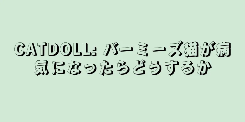 CATDOLL: バーミーズ猫が病気になったらどうするか