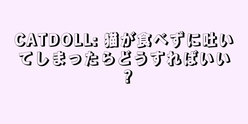 CATDOLL: 猫が食べずに吐いてしまったらどうすればいい？
