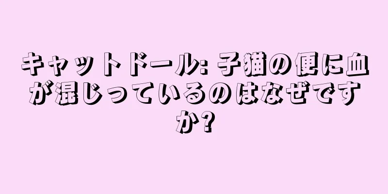 キャットドール: 子猫の便に血が混じっているのはなぜですか?