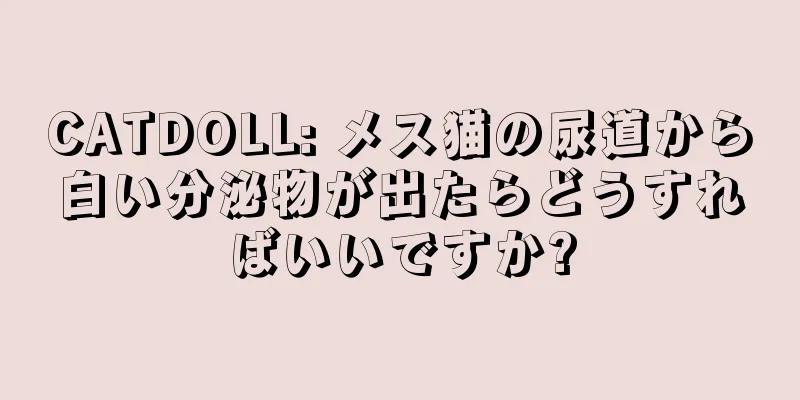 CATDOLL: メス猫の尿道から白い分泌物が出たらどうすればいいですか?