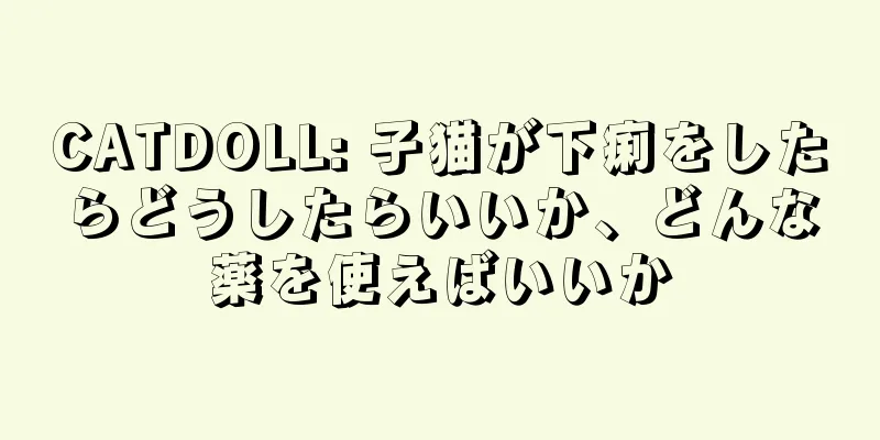 CATDOLL: 子猫が下痢をしたらどうしたらいいか、どんな薬を使えばいいか