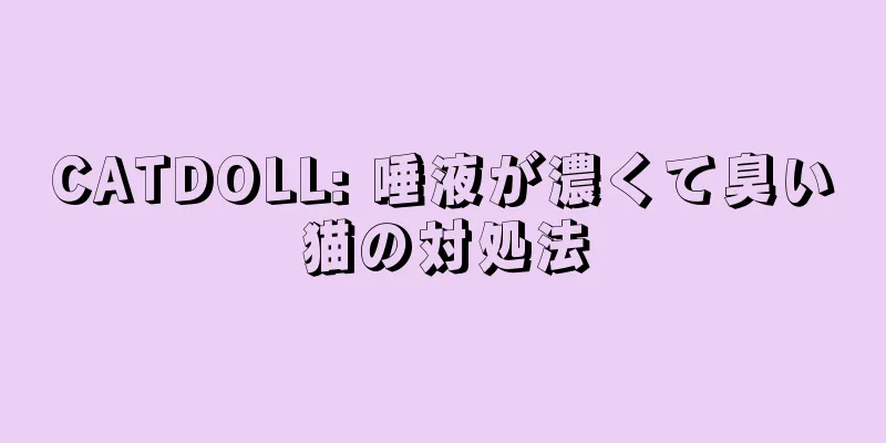 CATDOLL: 唾液が濃くて臭い猫の対処法