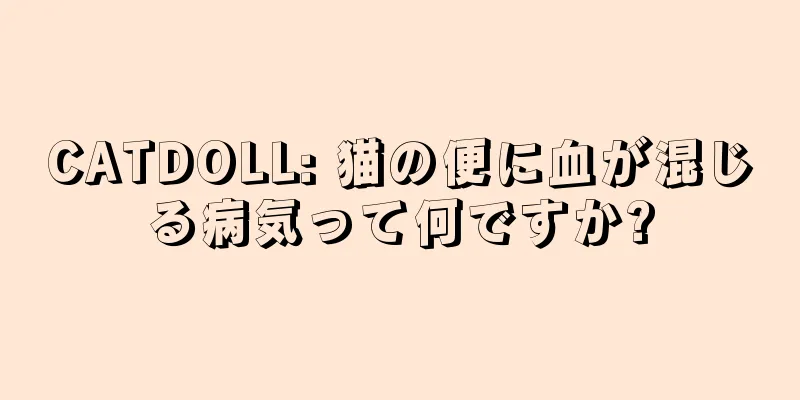 CATDOLL: 猫の便に血が混じる病気って何ですか?