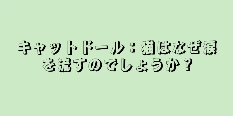 キャットドール：猫はなぜ涙を流すのでしょうか？