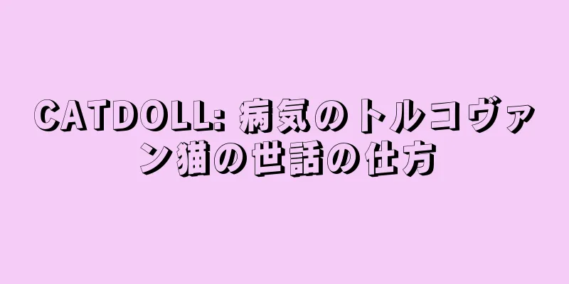 CATDOLL: 病気のトルコヴァン猫の世話の仕方