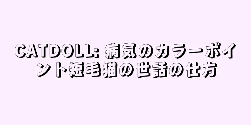 CATDOLL: 病気のカラーポイント短毛猫の世話の仕方