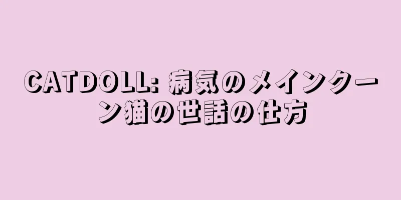 CATDOLL: 病気のメインクーン猫の世話の仕方
