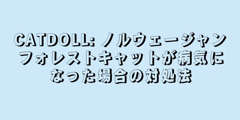 CATDOLL: ノルウェージャンフォレストキャットが病気になった場合の対処法