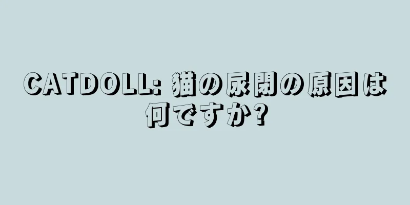 CATDOLL: 猫の尿閉の原因は何ですか?