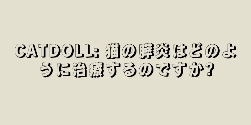 CATDOLL: 猫の膵炎はどのように治療するのですか?